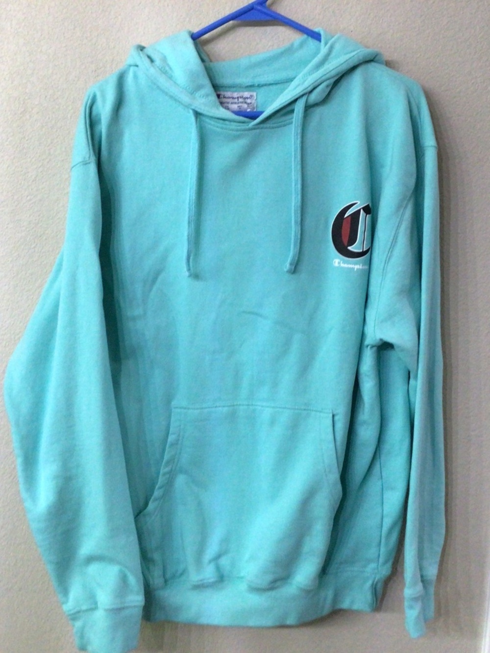 Champion authentic athletic wear sweatshirt with hood. Size large. Great shape.